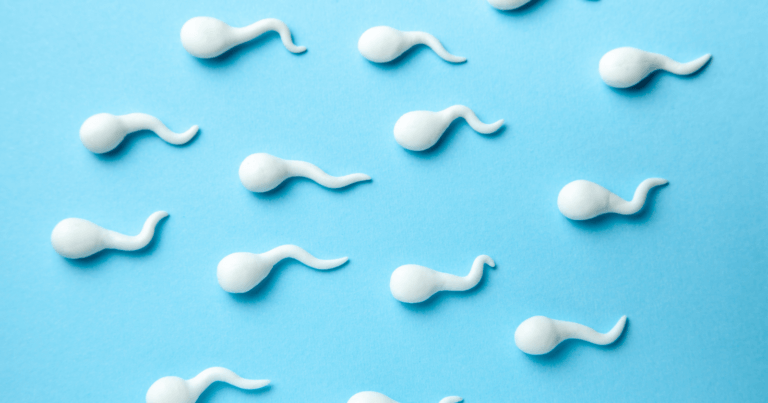 How long can sperm survive on a toilet seat