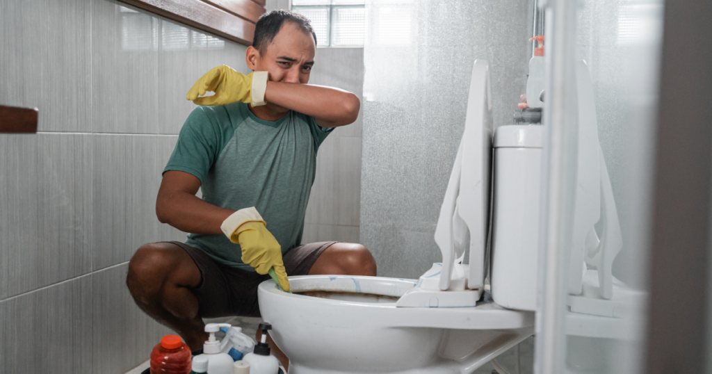 How to Remove Poop Stains from a Toilet Seat