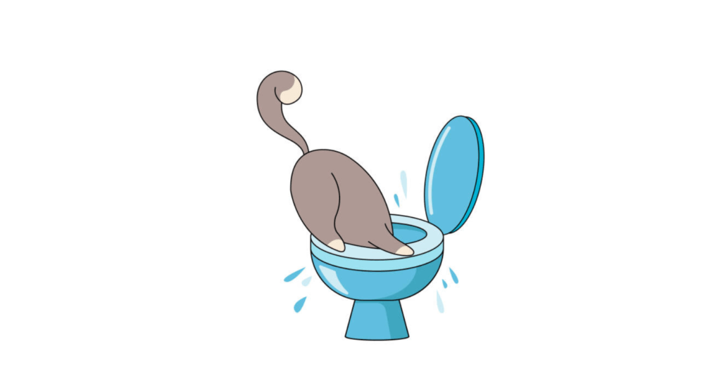 Why Do Cats Drink Out Of The Toilet