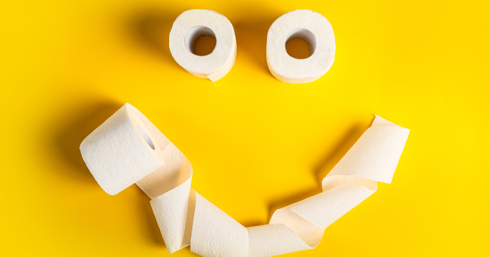 What is the circumference of toilet paper rolls?