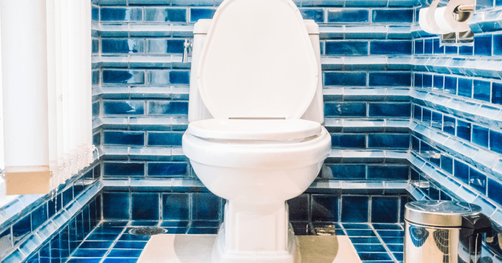 How to Fix a Whistling Toilet