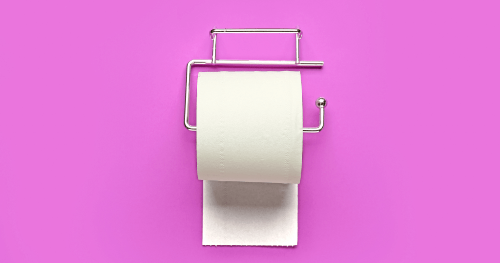 Top 3 Double Roll Toilet Paper Holder