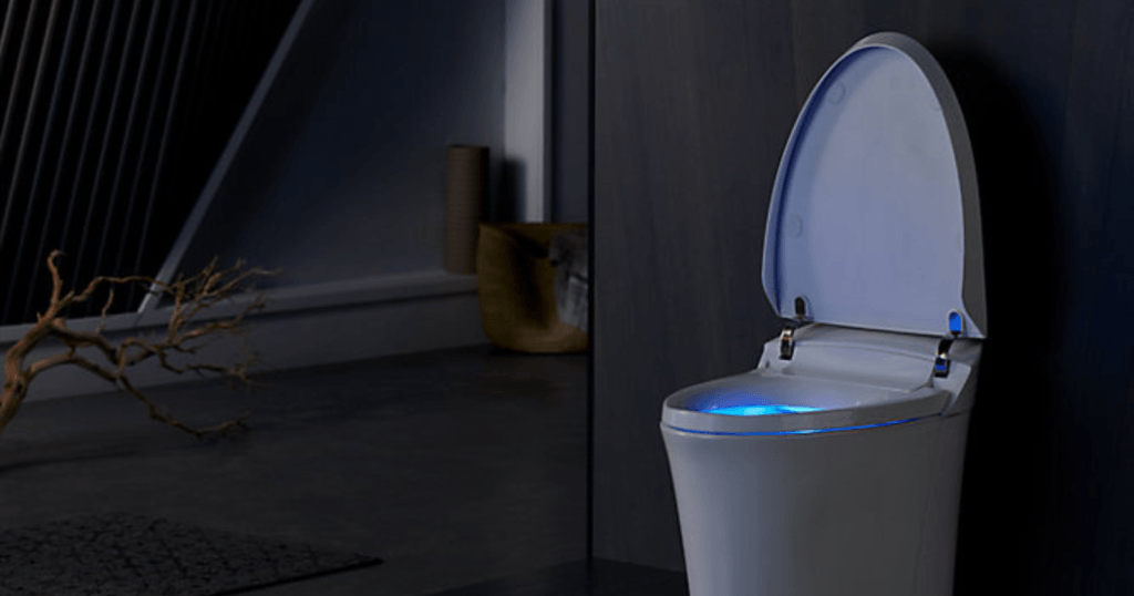 Kohler Smart Toilet Veil Review