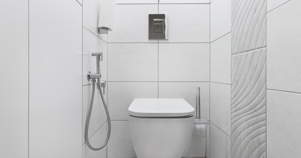 Tankless Smart Toilet