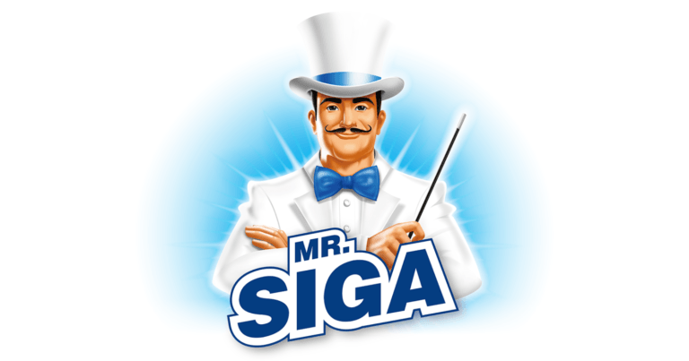 MR.SIGA Toilet Plunger And Brush Combo Review