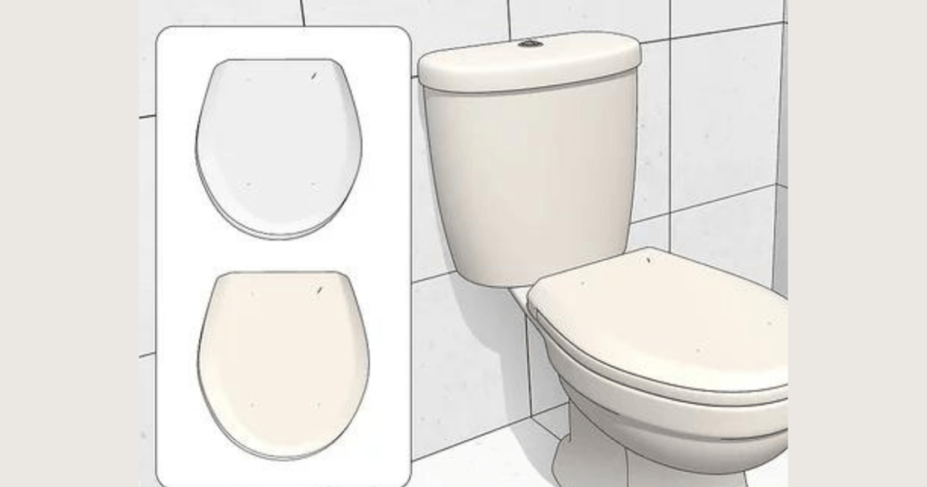 How to Install A Kohler Elongated Toilet Seat