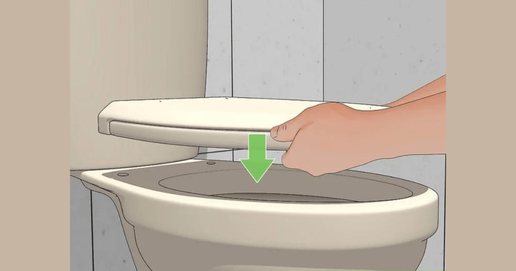 How to Install A Kohler Elongated Toilet Seat