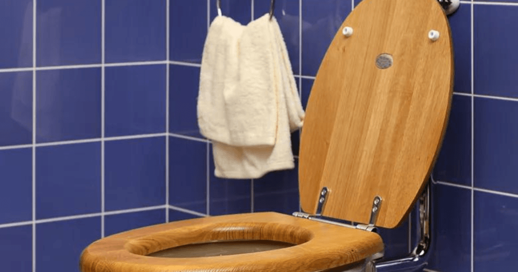 How To Clean Wood Toilet Seats-toilet with a wood toilet seat on it 