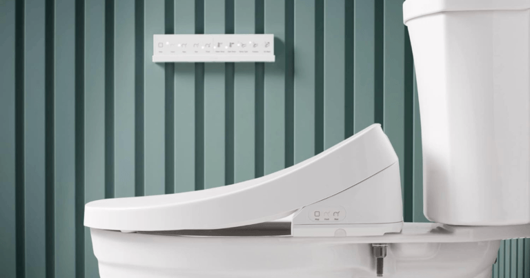 The TOP 3 Kohler Bidet Seats