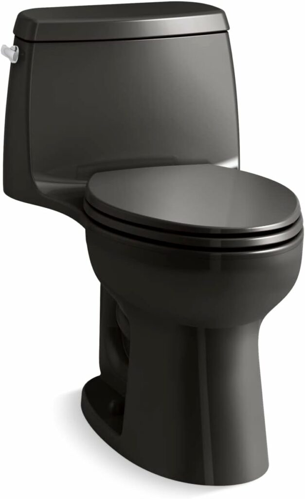 Kohler Santa Rosa One-Piece Toilet Review