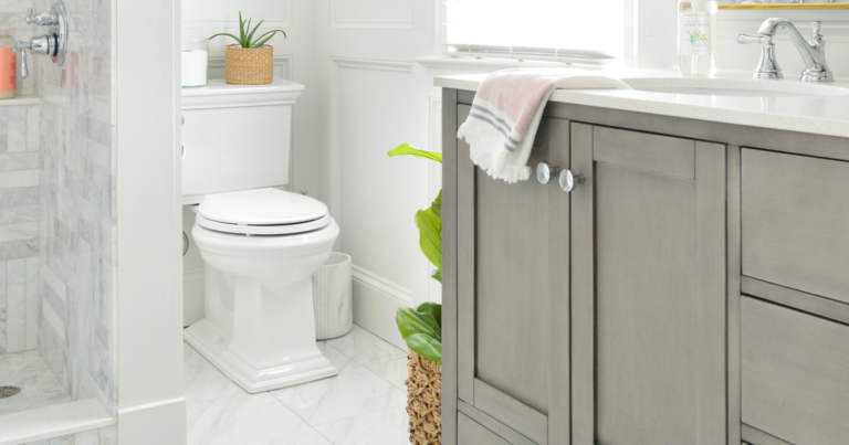 Top 3 Picks Kohler Round Toilets