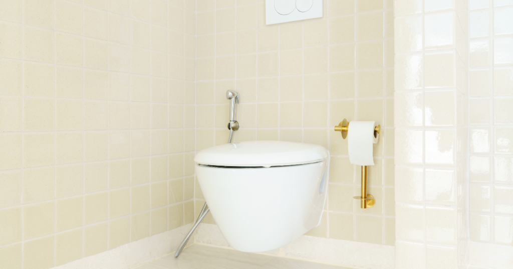 kohler bidet