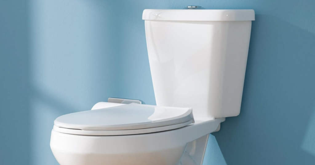 Standard Toilet Types A Toilet Buying Guide