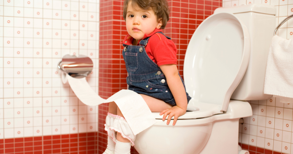 Two-Piece Toilets 101: A Beginner’s Guide to Choosing the Right One