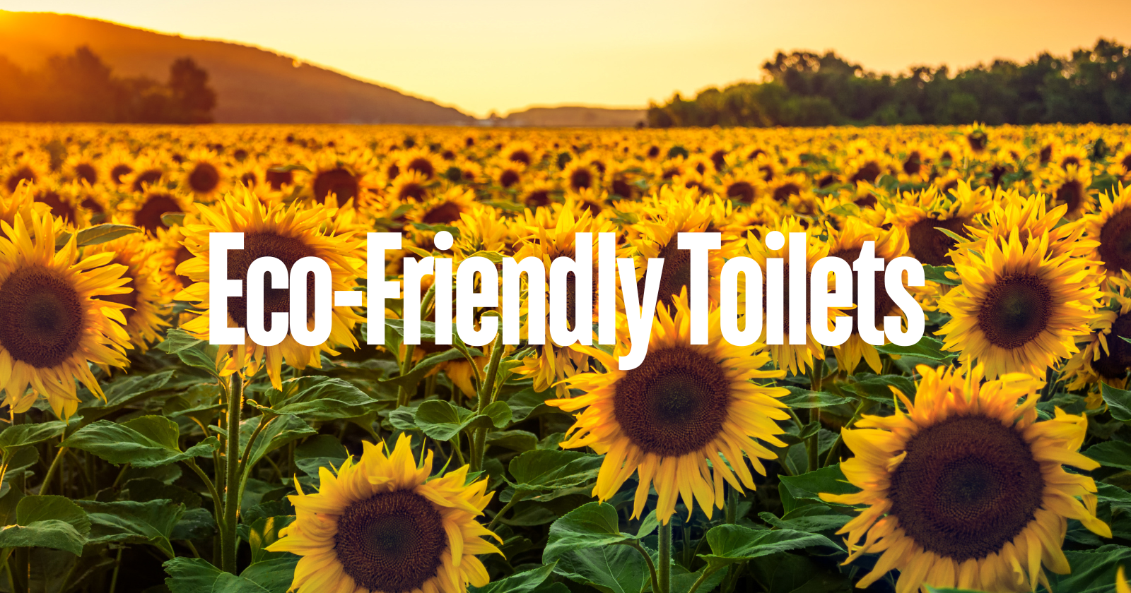 Eco-Friendly Toilets