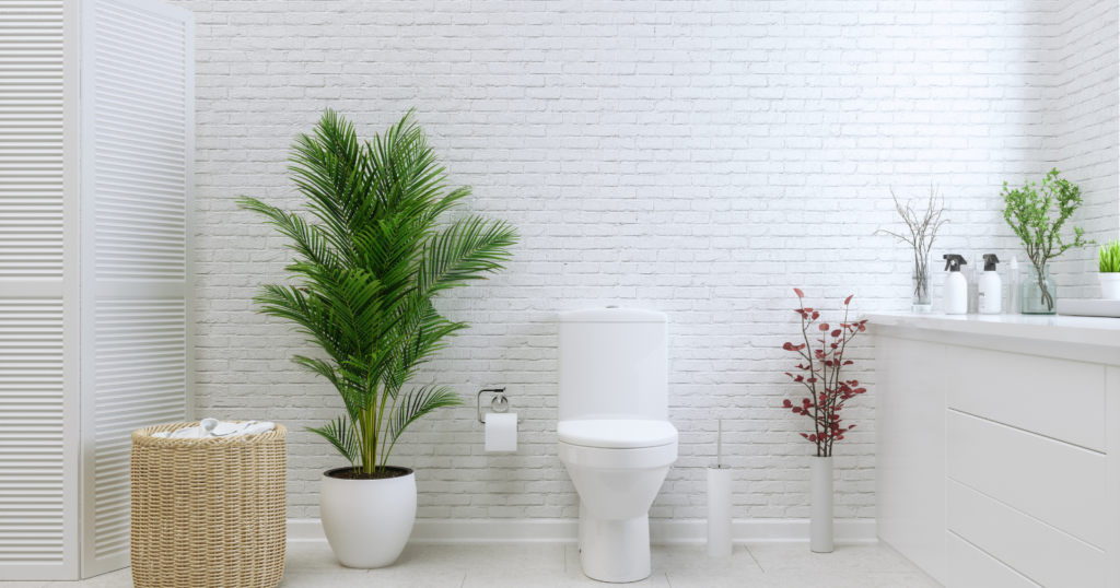 What Is a Standard Toilet? A Quick Overview