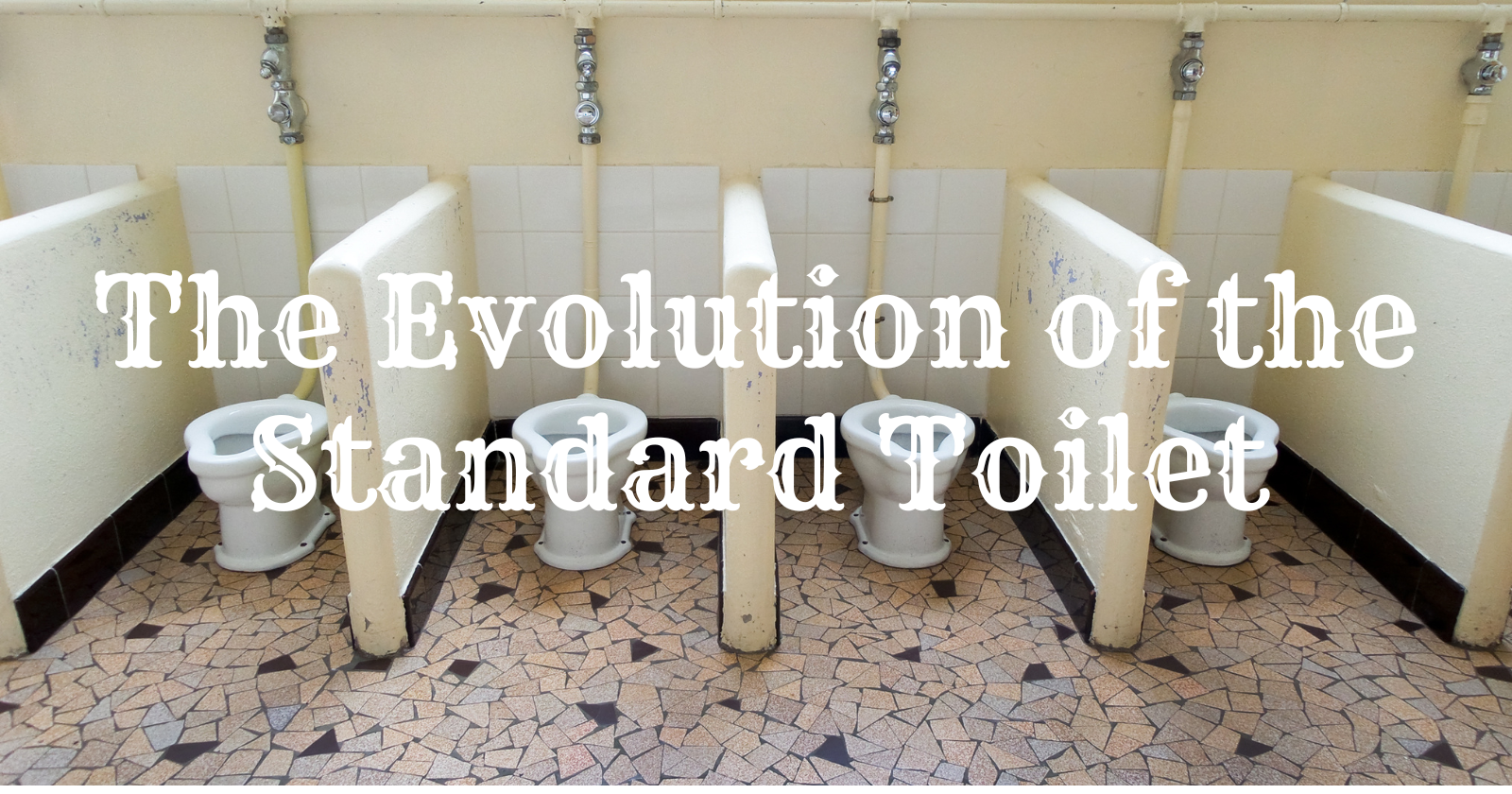 The Evolution of the Standard Toilet