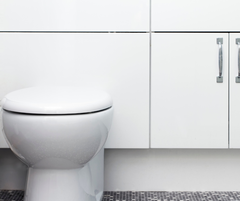 Floor Mounted Toilets